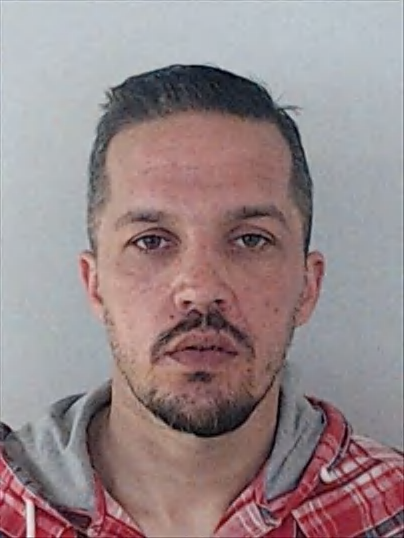 NELSON HUMBERTO ARAÚJO